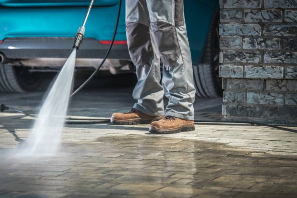 Best Paint Preparation  in Sisseton, SD