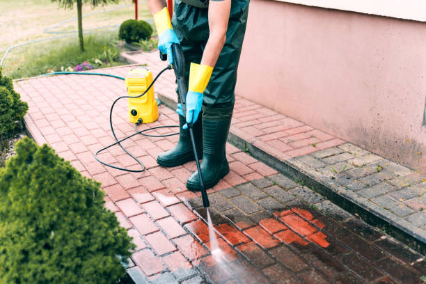 Best Sidewalk and Walkway Cleaning  in Sisseton, SD