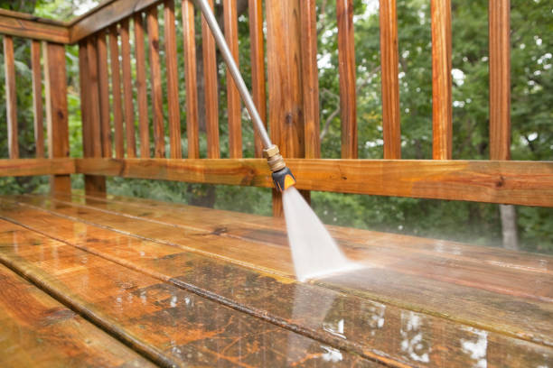 Best Fence Cleaning  in Sisseton, SD