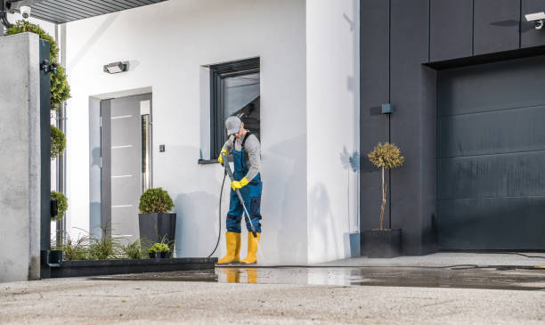 Best Roof Washing  in Sisseton, SD